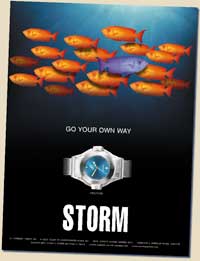 Storm fish poster