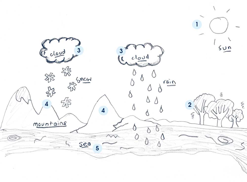 simple water cycle. simple water cycle diagram